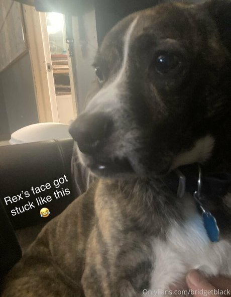 asian cowgirl onlyfans beautiful nude galleries