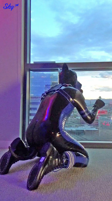 skystudios42 best pornstar pics