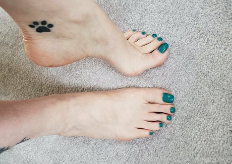 sloan paws star art gallery