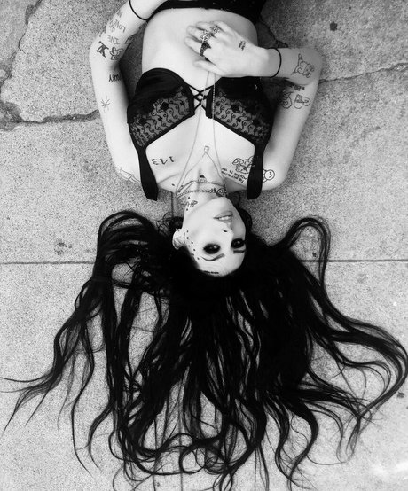 Layla Shapiro best star archive