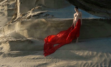 c antoinettemarie star perfect gallery