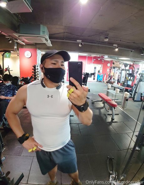 largedogcollar pornstar nice gallery