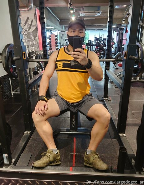 largedogcollar pornstar art photos