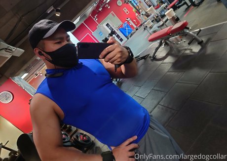 largedogcollar pornstar images