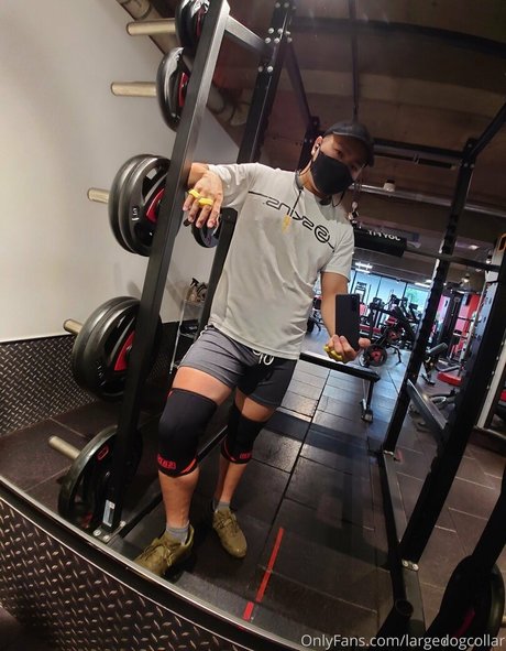 largedogcollar nice actress archive