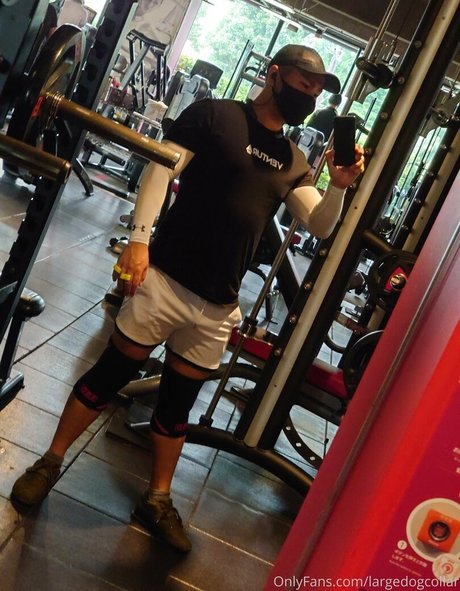 largedogcollar pretty actress archive