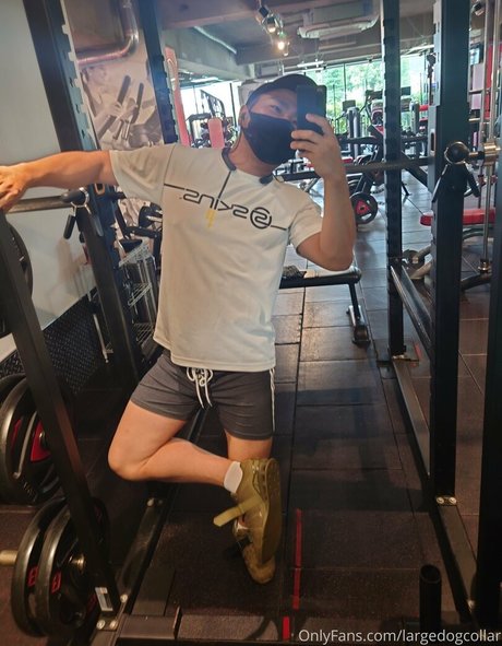 largedogcollar best pornstar images