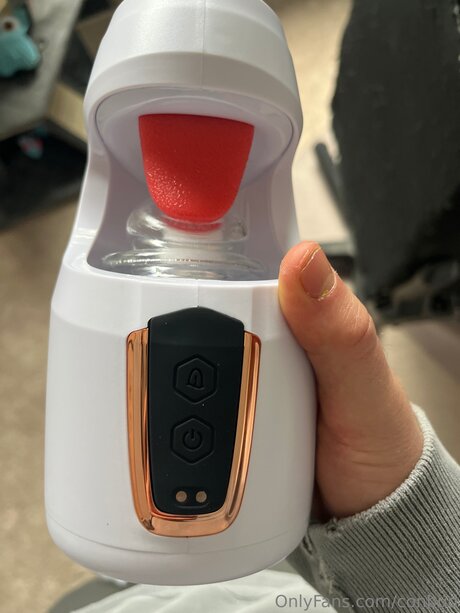 Conbud model perfect archive