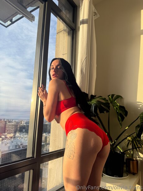 Olivia Trans pornstar naked galleries
