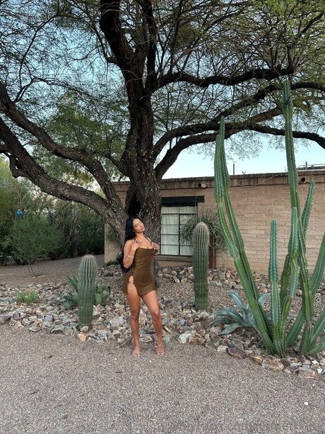 Itsmetrinity star sex galleries