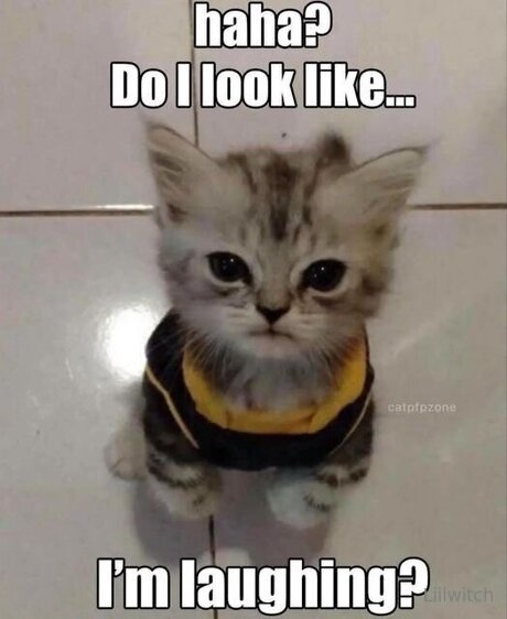 Liilwitch top profile image