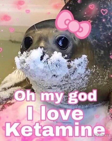 Liilwitch nudes pornstar pic