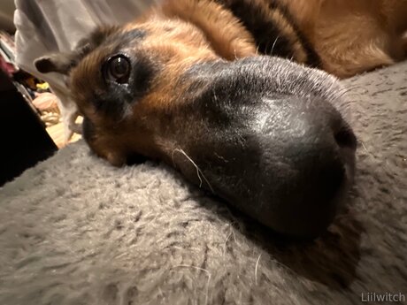 Liilwitch xxx actress pics