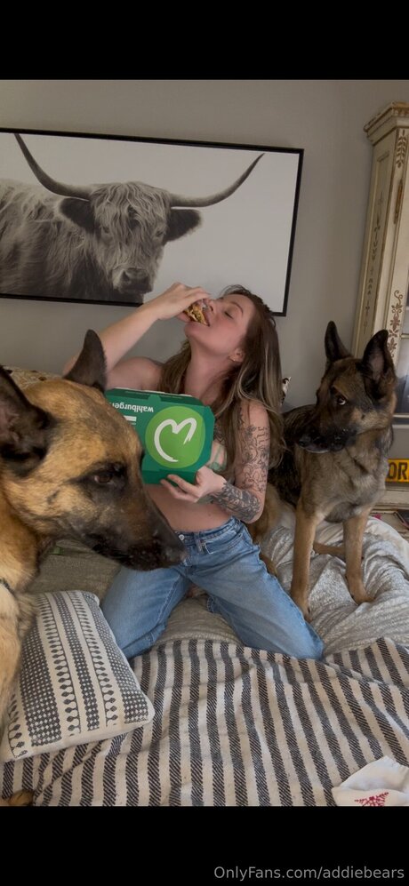 Addiebears hot pornstar galleries