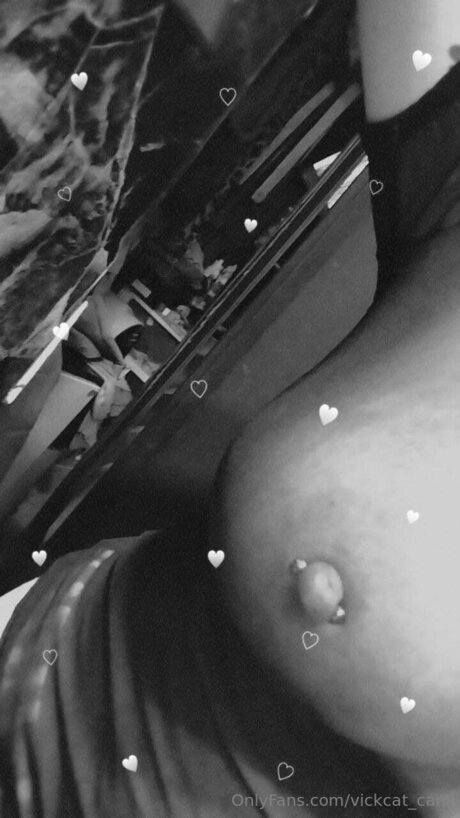 Vickcat Cam art actress gallery