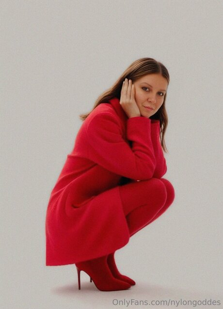 Nylongoddes best model img