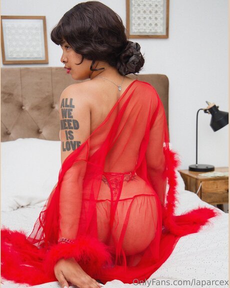 Laparcex model adult photo