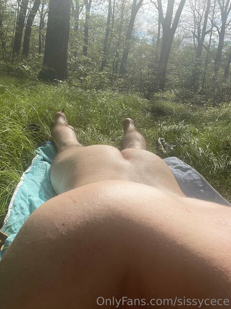 american onlyfans nudes img