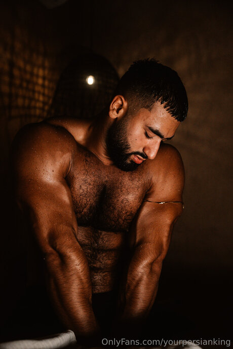 Yourpersianking nice model image