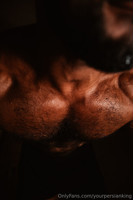 Yourpersianking perfect star pictures