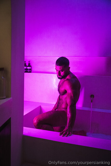 Yourpersianking star top img