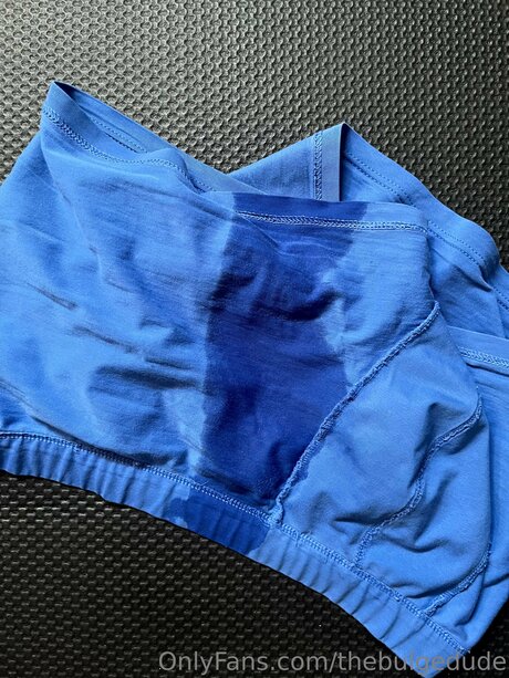 Thebulgedude pretty model gallery