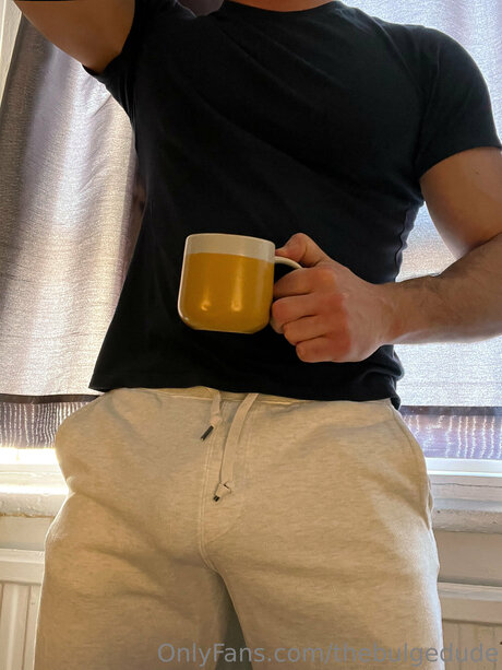 Thebulgedude free pornstar images