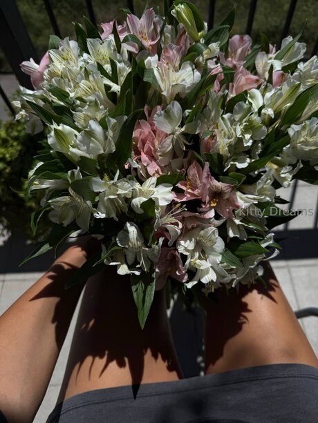 Kitty Dreams Vip nudes pornstar galleries