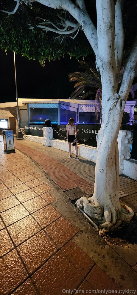 Onlybeautykitty pornstar art images