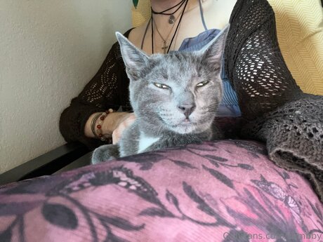 Zombby top pornstar images