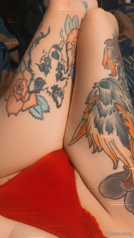 Frokenvarg nice star image