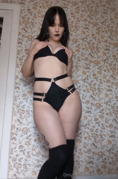 Laristochat profile image