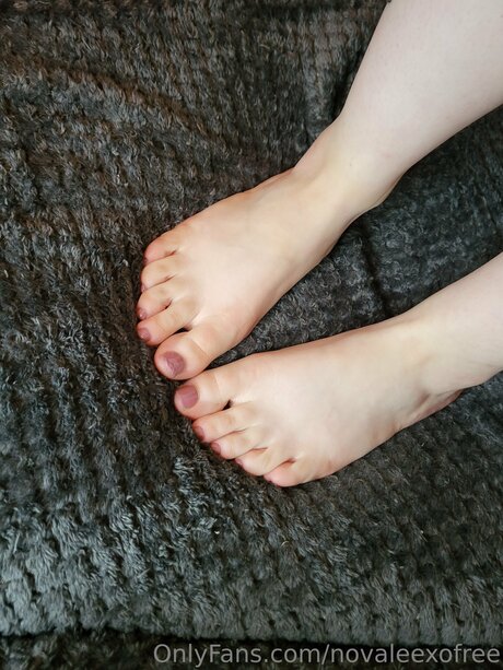 Novaleexofree pornographic model pic