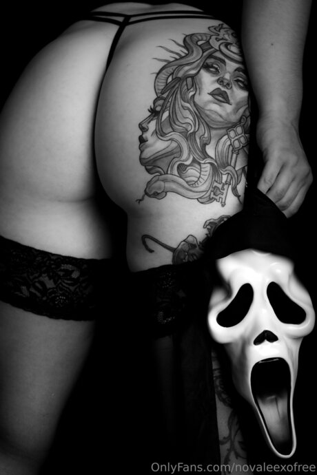 Novaleexofree pornstar art photos