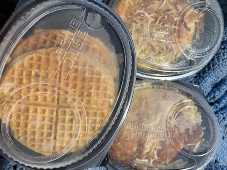 Celluliteangel nice star pictures