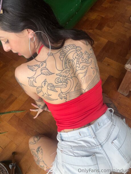 Gindust adult star pic