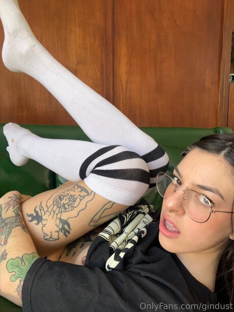 Gindust pornstar adult picture