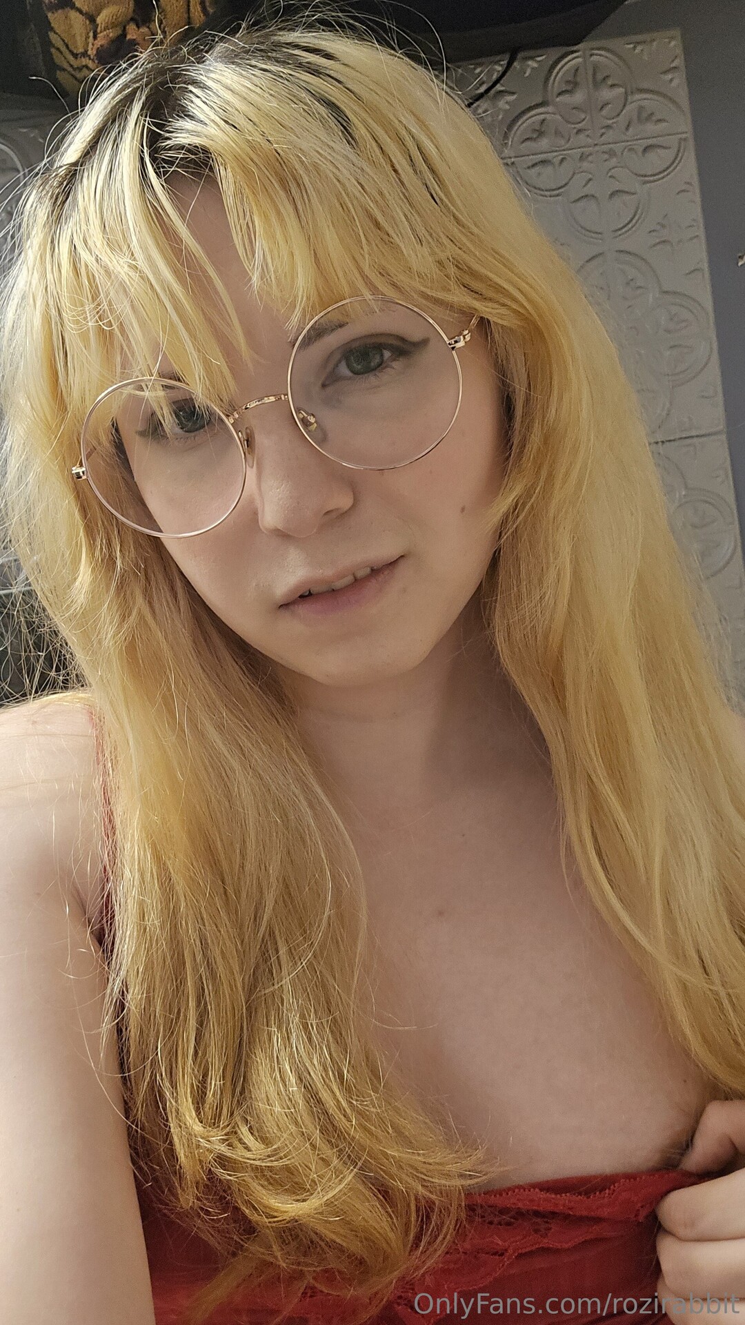 Rozirabbit pornstar erotic archive