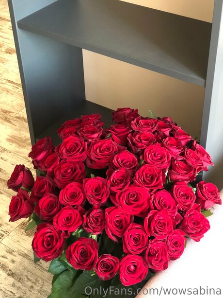 Wowsabina free actress img