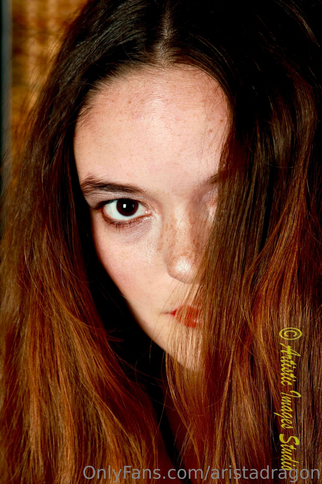 Aristadragon art model photo