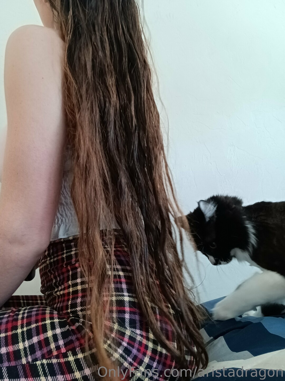 Aristadragon xxx pornstar archive