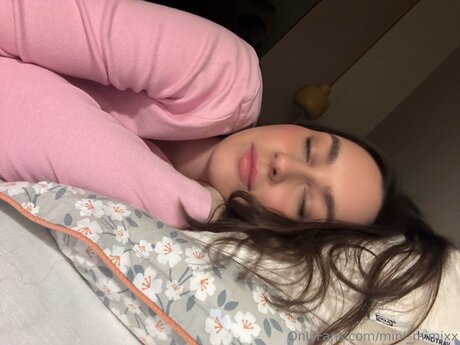 Mini Mimixx high quality model img