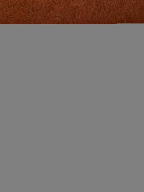 brazilian teen onlyfans free porn pics