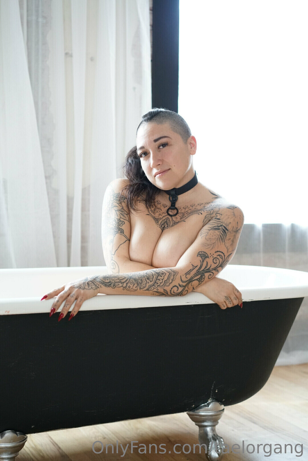 Taelorgang model art picture