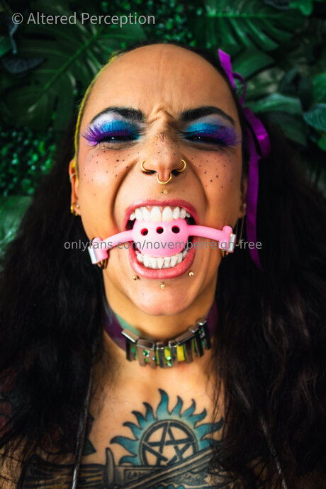 Novemberreign Free exclusive star image