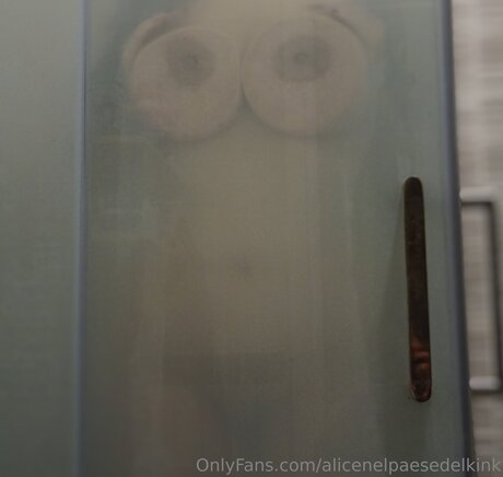 Alicenelpaesedelkink nudes model gallery