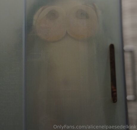 Alicenelpaesedelkink pornstar beautiful archive