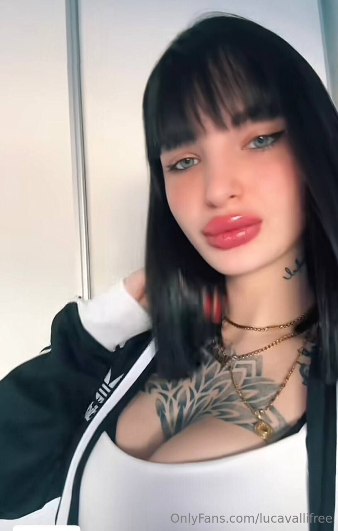 Lucavallifree erotic star archive