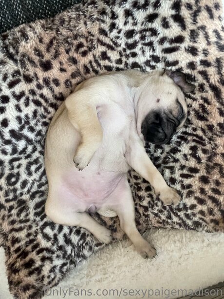 blonde midget onlyfans sexy nude archive