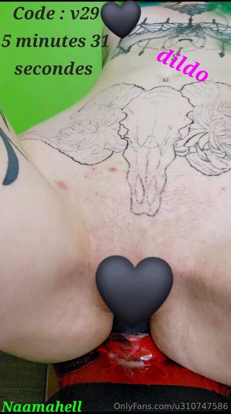 U310747586 nice model archive